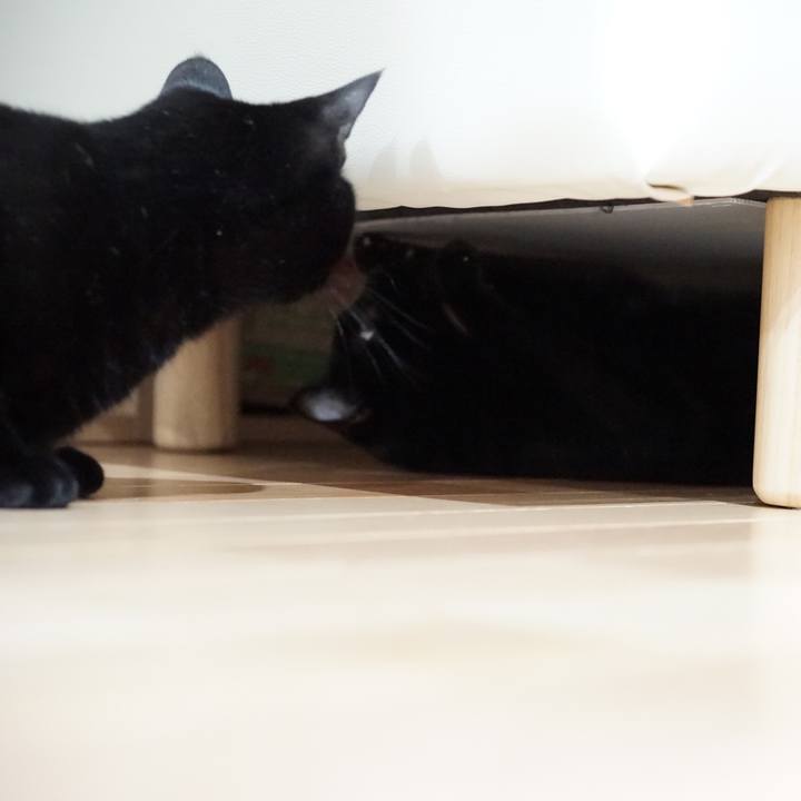 10dd2bce 5403 4ca2 bca1 d5a220881709 1557790222106