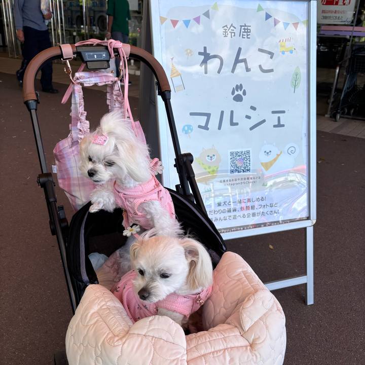 10dd4ce2 0e73 43da 80ef 0250cb7094b7 1745914735485