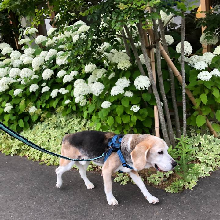 10dd5d7f ca9d 47c1 8bae d01196083afd 1624831640353