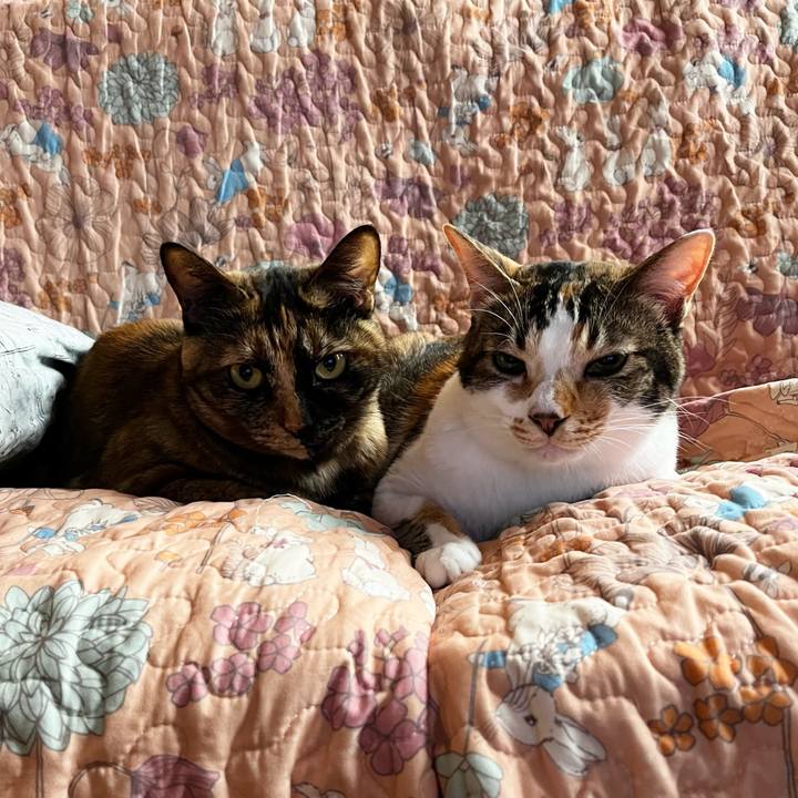 10dd7fe1 e531 49b4 894a b8815fad212d 1718312281867