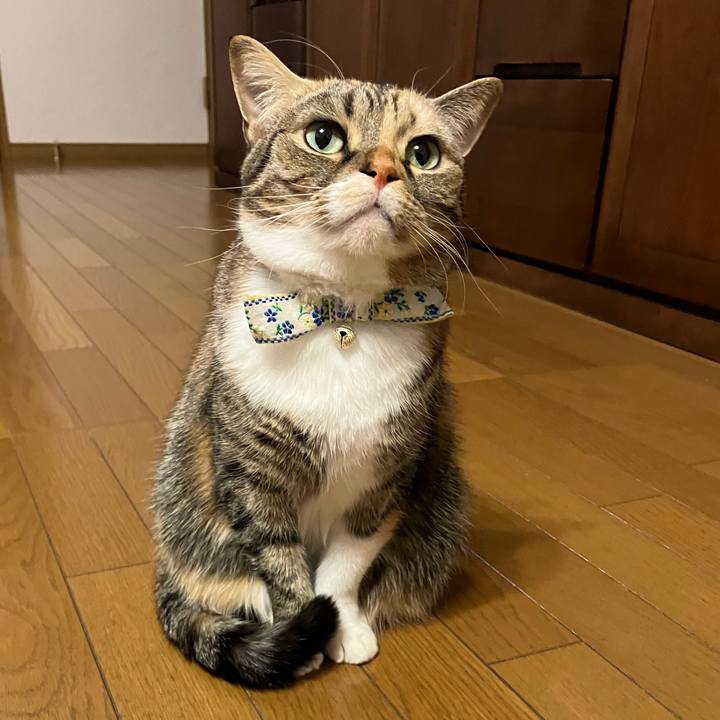 10dd9c3f 4559 4c2b 822d 229aa98fa7d7 1765362636211