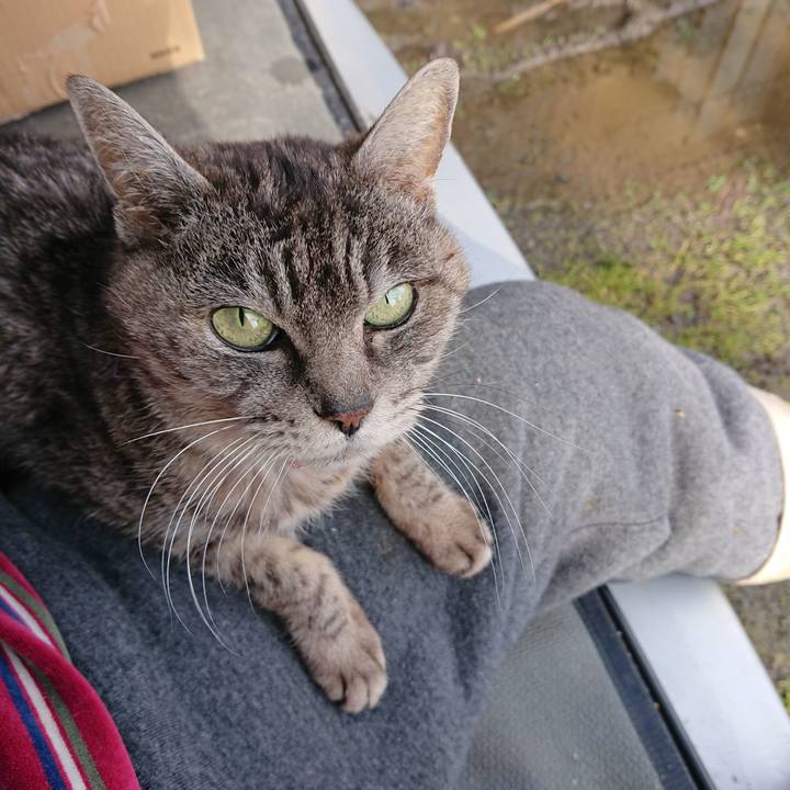 10ddb32a 2d9d 408a 8f7b 91693affae13 1578798089853