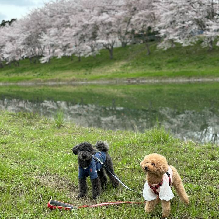 10ddfdb2 1416 4eb9 84b1 77a070945720 1712980777945