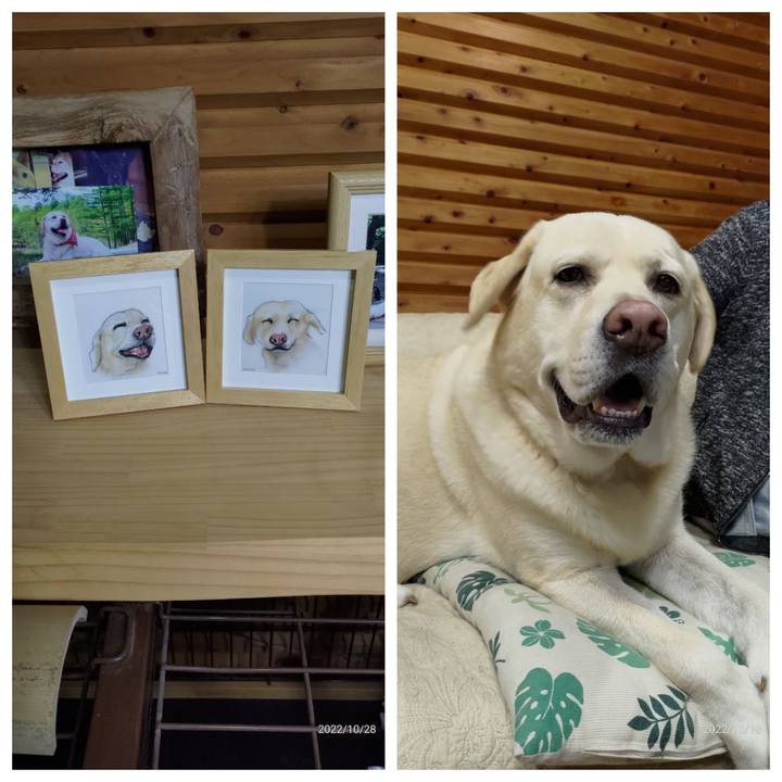 10de0a19 086d 4f0b 9619 539d144cc136 1666955679966