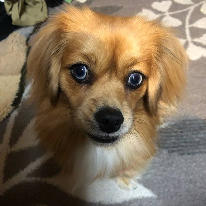 10de1d03 a02b 4828 b794 0182772cf980 1544477746775