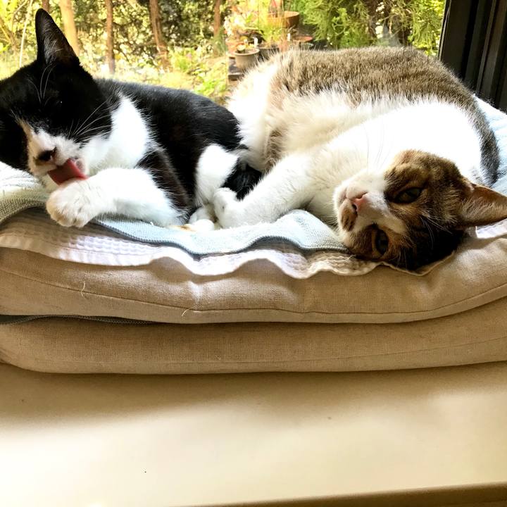 10de2504 207d 493e b8c1 e4960c0211e7 1573528380337