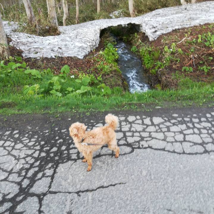 10de3209 99bc 4b19 aff7 6dcbd336d892 1526763272117