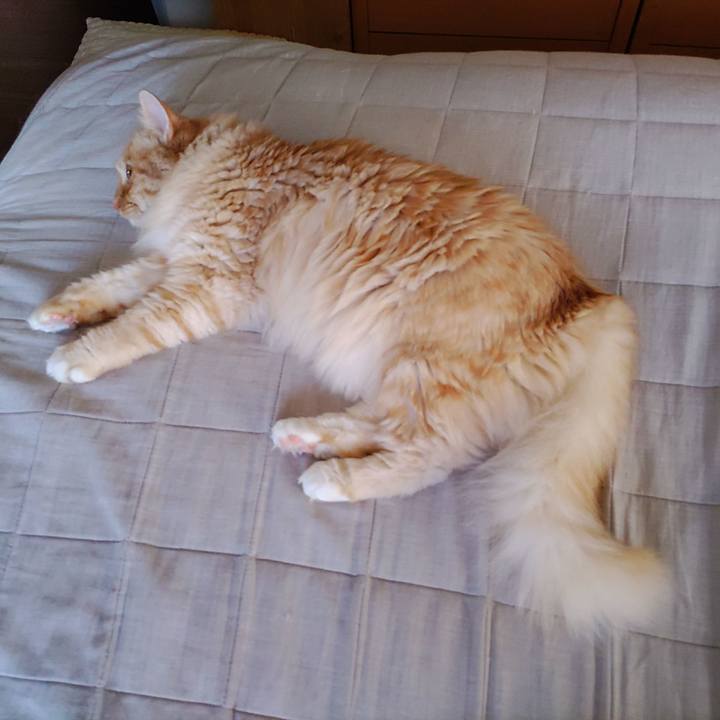 10de3dfd 31bd 410c 8a8b 176660158c9d 1653861340100