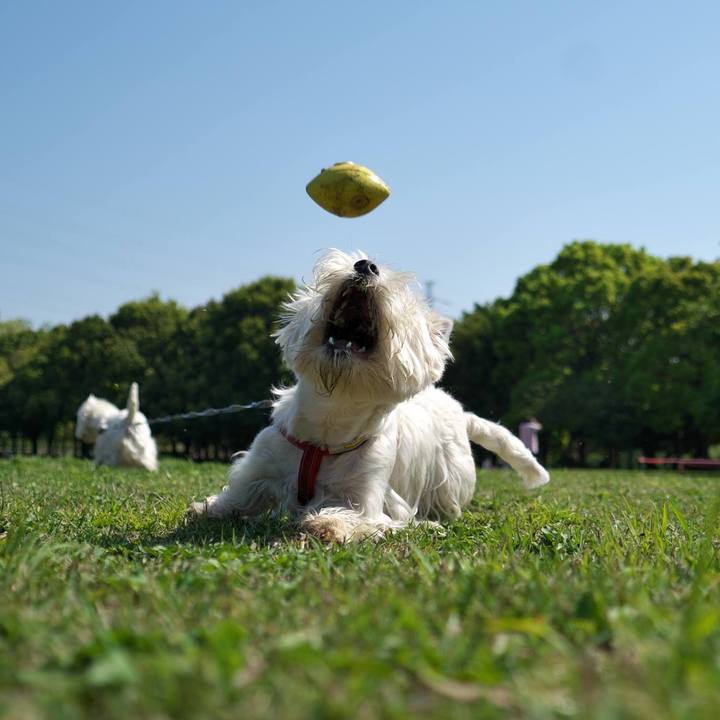 10de6bb9 086c 422e 82d5 c54e38e863d6 1524346768347