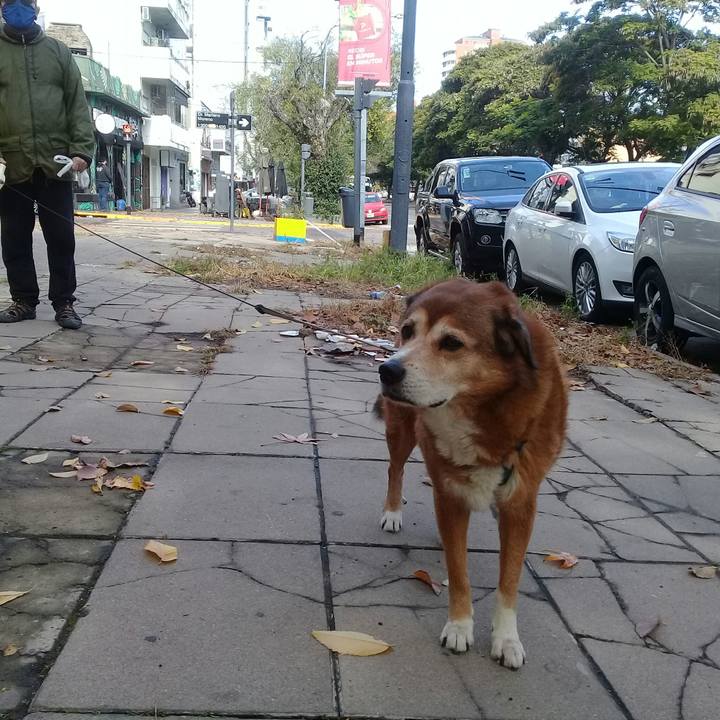 10de8937 a106 4934 969f c21fd506a186 1621707825655
