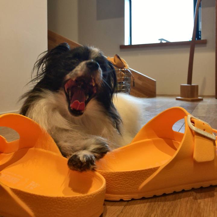 10dead5f dd1f 4d8a 84bf dbd2b260414d 1536063994760