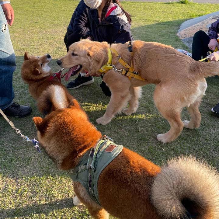 10deb14d c618 4514 920c 8981a87ba6fc 1681037185952