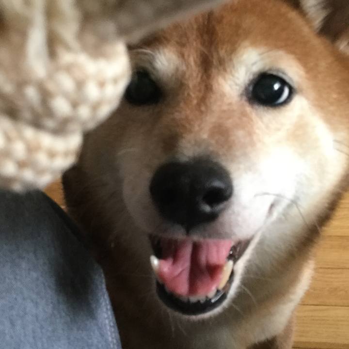 10dec8d9 335d 4954 826f fc227e1f4aa0 1596873005163