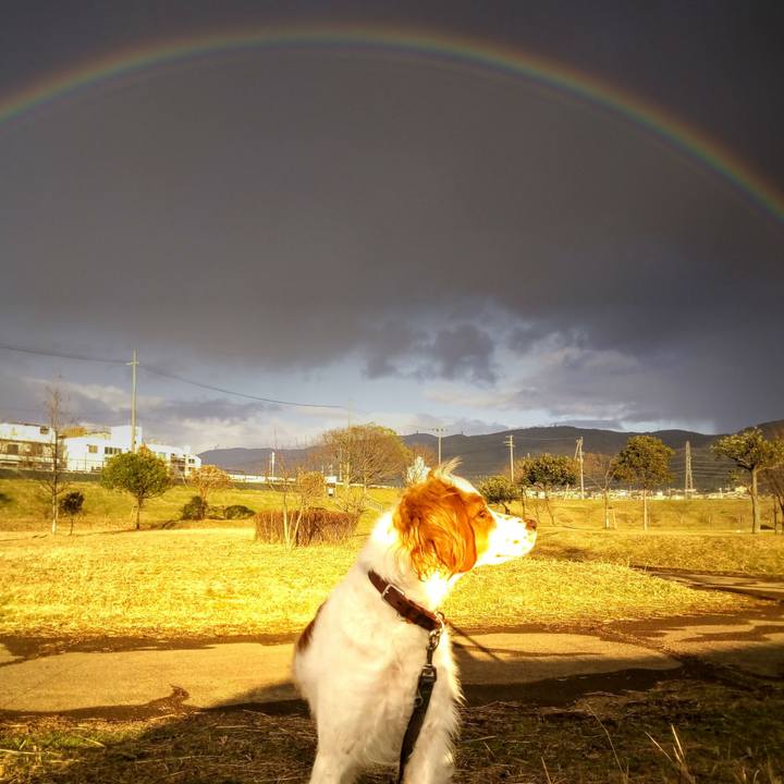 10df0f2d cee0 4147 91ce 7f6b34882ded 1528072034275