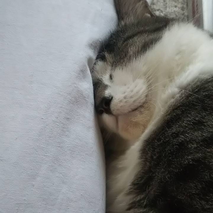 10df17b9 5ea5 4fa8 a2a1 b1aa377b57d9 1627333406105