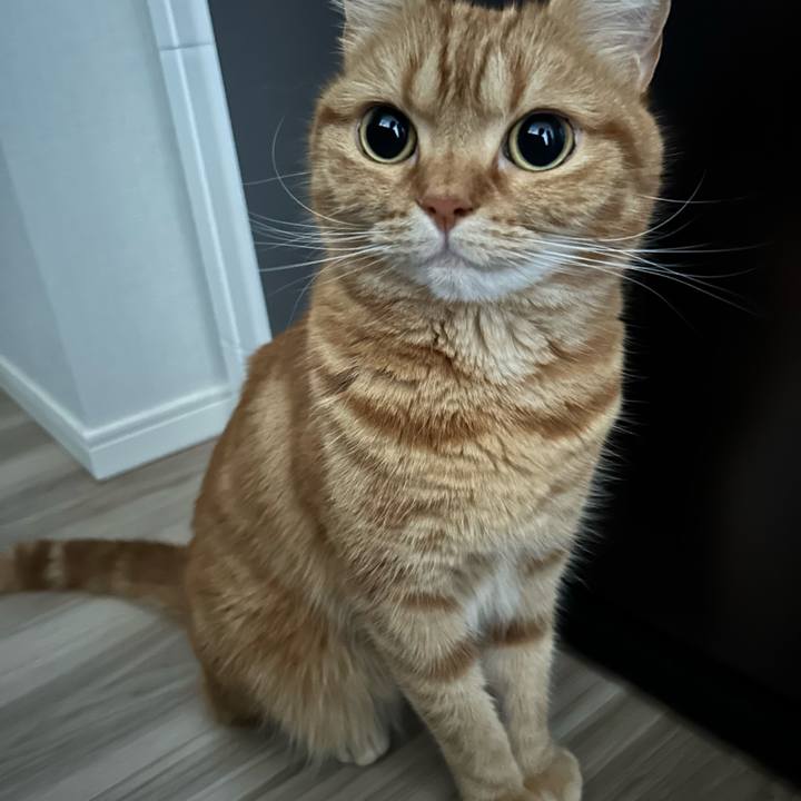 10df1b65 eefd 45dc 8217 944a09042dc7 1683592312929