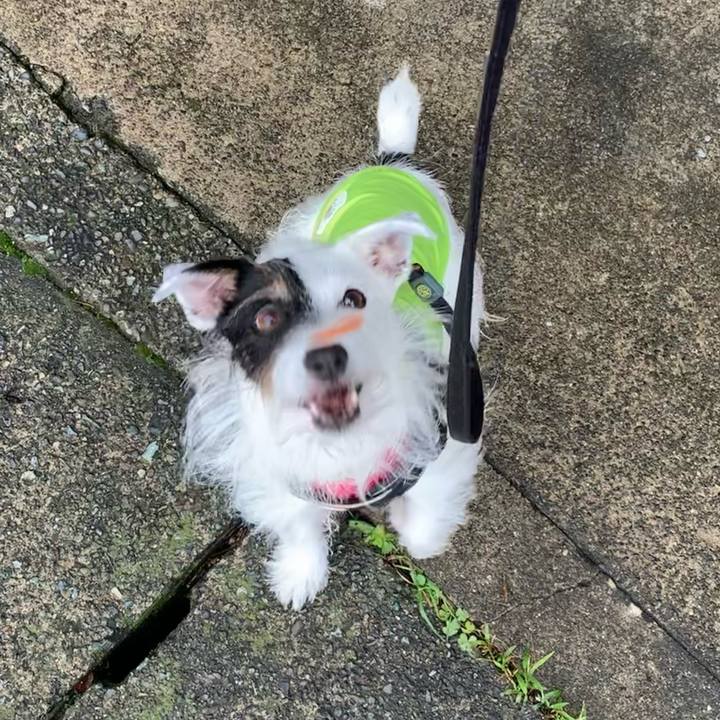 10df758c 9777 4699 9dcf 750d93345fa7 1665620629151