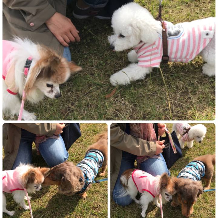 10df76e3 9069 4876 97d1 7b9cc3d2adbc 1509529573140