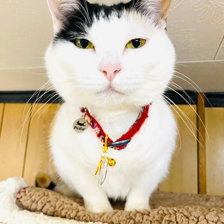 10dfa150 d21b 4273 a106 a670b0da1e10 1704979355027