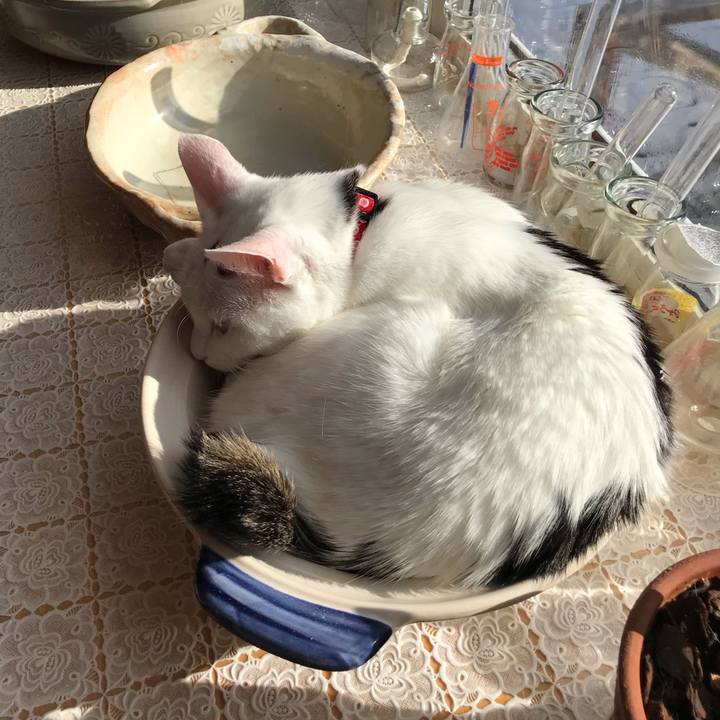 10dfa8fa 7269 4d96 9293 786f0a08c3db 1549159199952