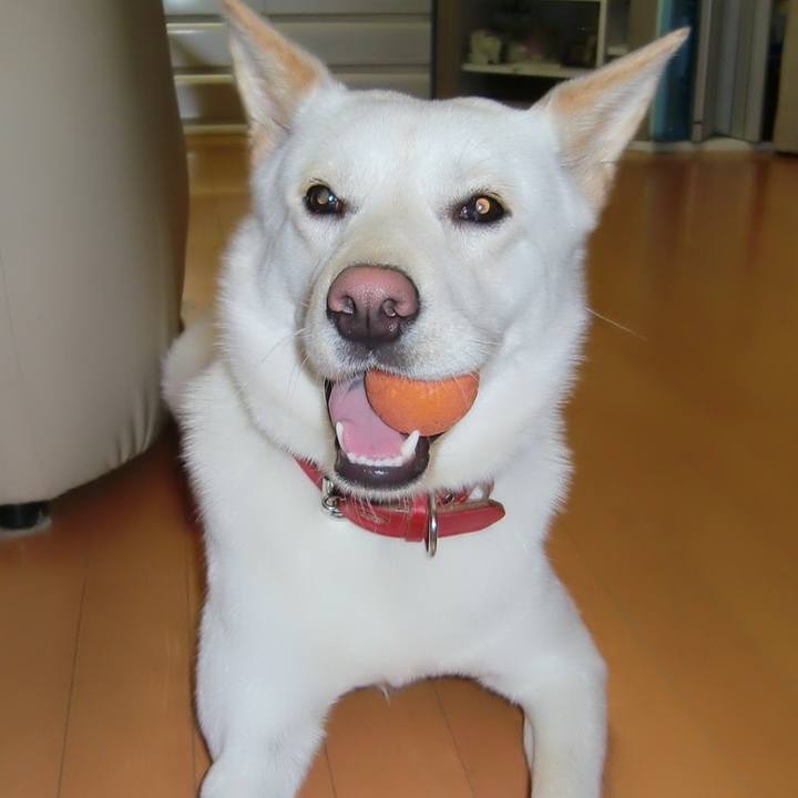 10dfb304 da13 459d ace8 126964ac042d 1676129220950