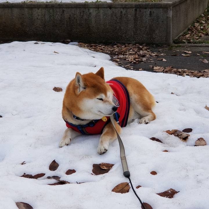 10dfe7b4 e5d8 45df adef 4f84c6e1cefa 1552445698627