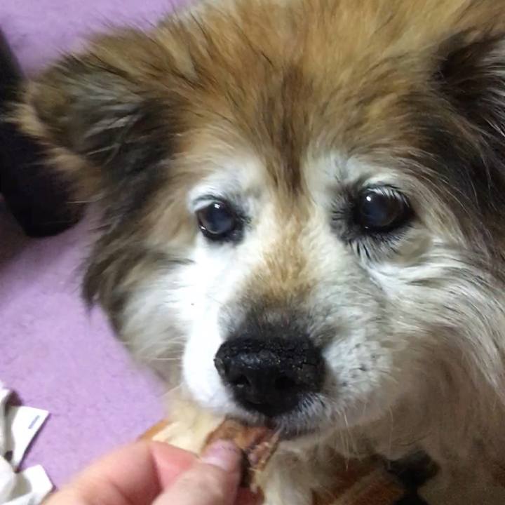 10e00f36 be64 43c2 be03 3e3dce04c050 1599299185362