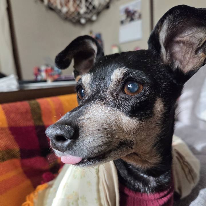 10e017a4 48b8 4ad9 a86e 6be487e7e891 1770366887108