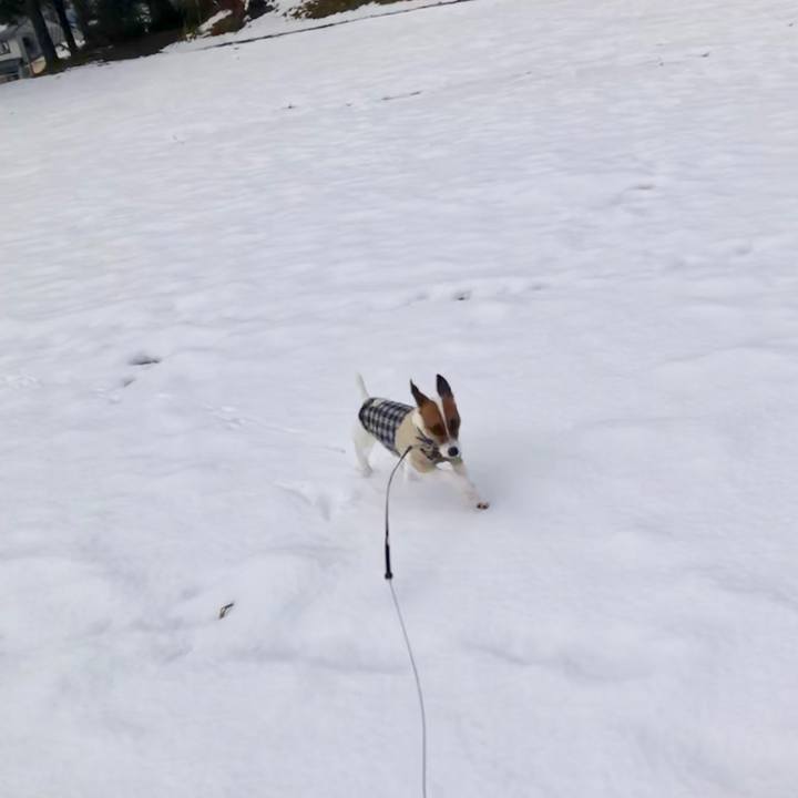 10e01a11 8c52 4d55 8b0b cdbfe53ae6a0 1545112021662