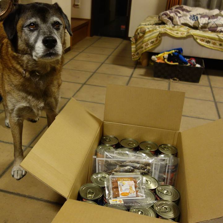 10e0465f 559a 4abb 8b0f 67772b4a90e9 1654388908386