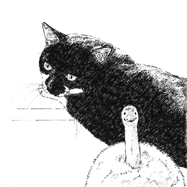 10e0480b b69f 4bc4 b0e5 7d5a84897b34 1620829877245