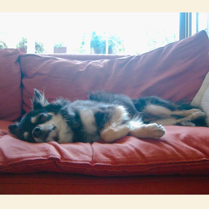 10e04b23 8945 4c80 b7c5 a523bf5e940f 1584851056892