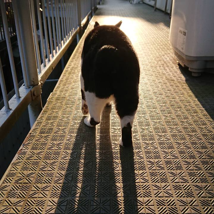 10e09299 a59f 4cbd 9311 5f17a771d481 1552433326248