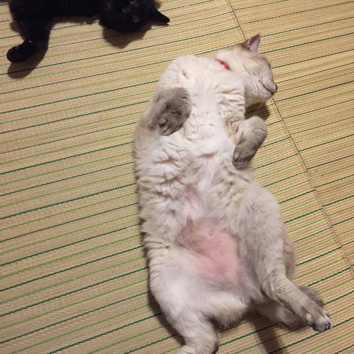 10e0940b b2eb 4bd0 b5f7 d98948581aee 1532692152615