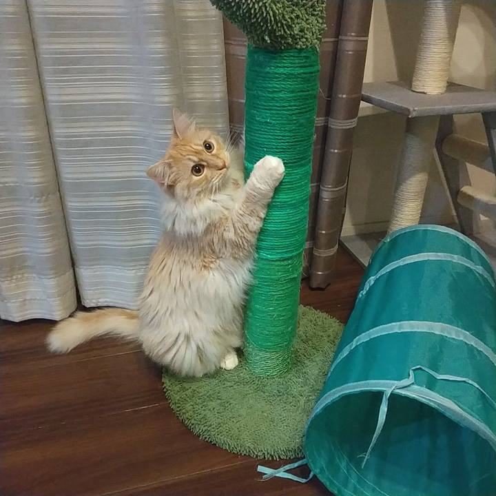 10e09c93 829f 4e27 bf18 971dd23da1a9 1649772914988