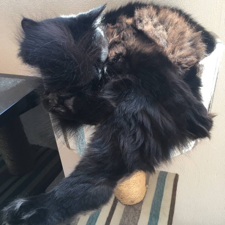 10e0c5dd 6672 4223 a291 c0e1a0ce8ce9 1568464345567