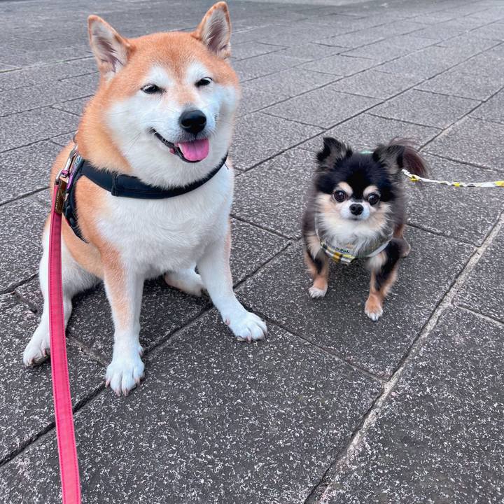 10e0e5a1 778b 474d 9556 7441769e1632 1696238140349