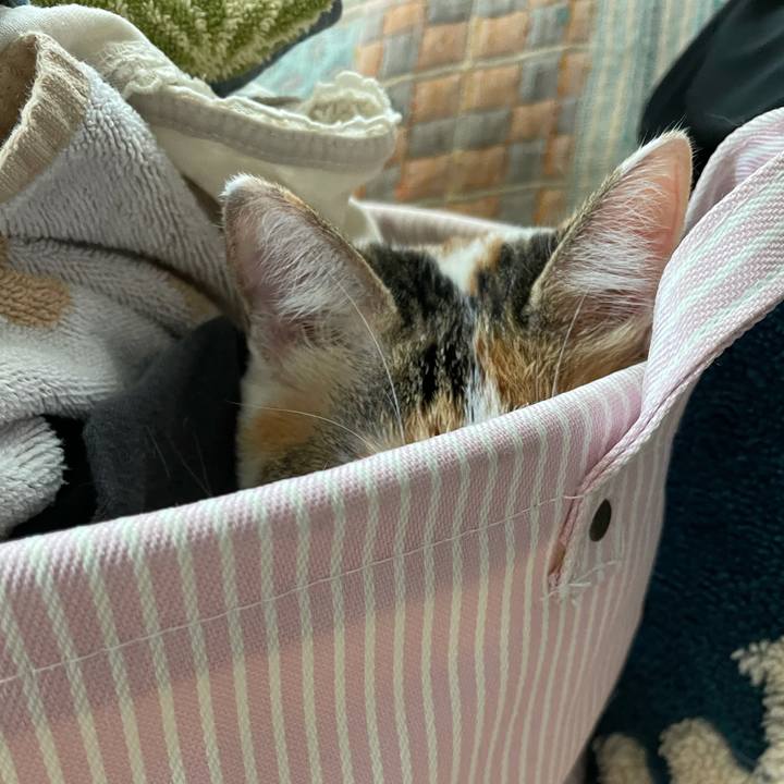 10e0f694 4737 4cdb b2a2 0bd007f8bd6d 1629931799559