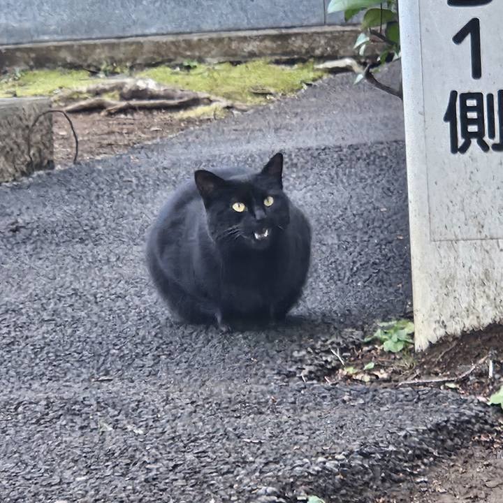 10e10a41 5269 4f9e a17a 1756f2461b26 1707279095160