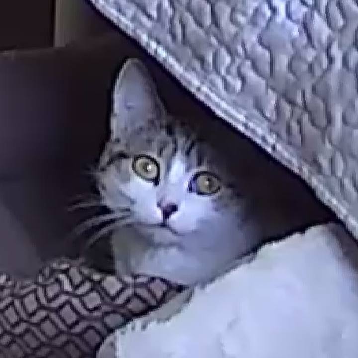 10e117eb 471e 4de7 948b 73f95fed2763 1632874304159