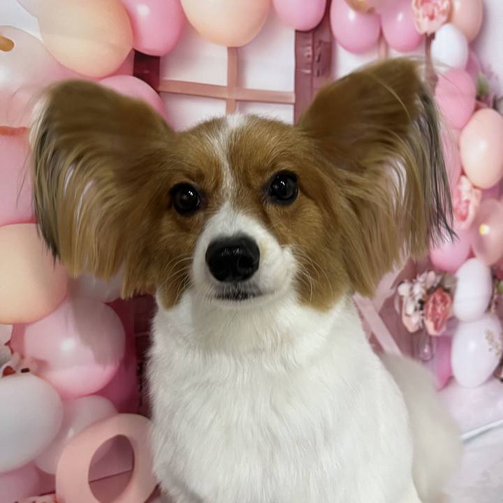 10e14924 e071 4d85 a33f be573618fd52 1729785859539