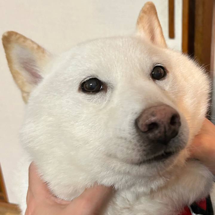 10e162f6 6662 4bb8 818a e6a96e36bdae 1708852853190