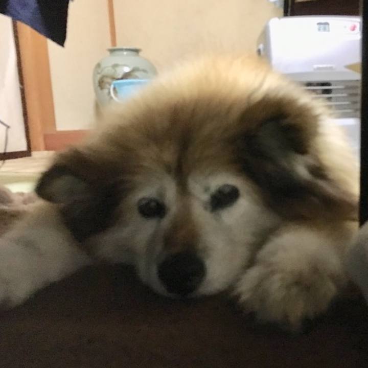 10e17936 1037 456d 8cf6 b731268ca6e4 1606102934286