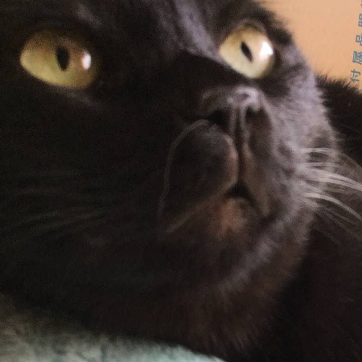 10e18712 feaf 4853 b353 10e25336e1b6 1587439732343