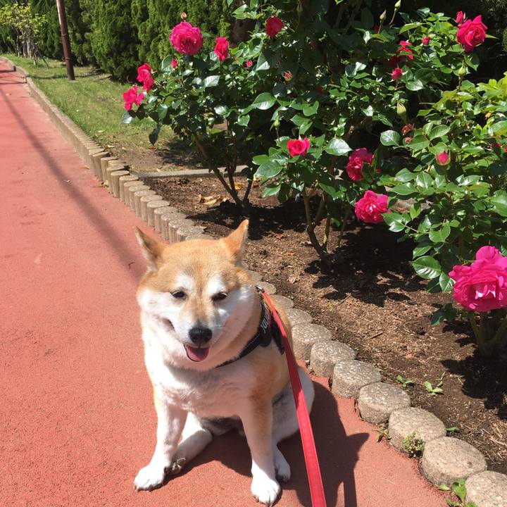 10e19018 996d 40b6 8784 bf667b74c811 1619747523124