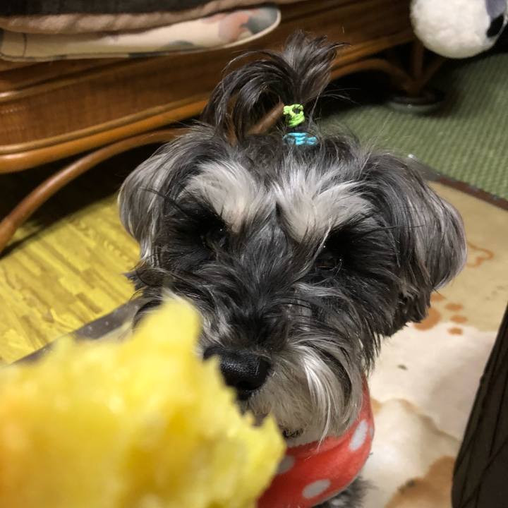 10e1c132 476b 4508 ae74 1f3f5350f802 1519814870574