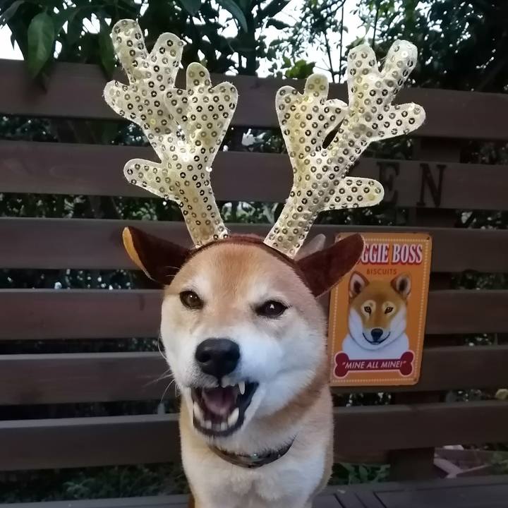 10e1db9e 6802 45f9 b40f 3dabad23e63b 1639841986241