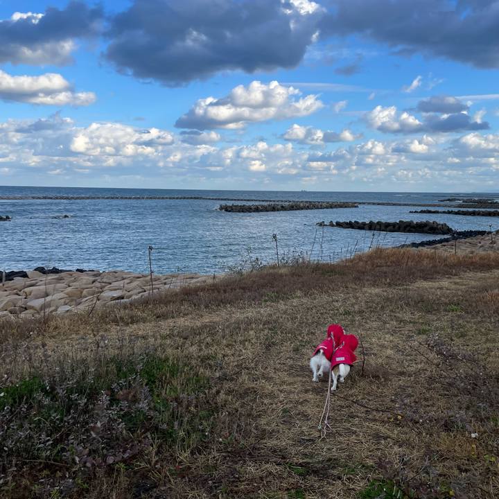 10e1f2cf b429 451b a2bb 9fc575591eec 1668558977493