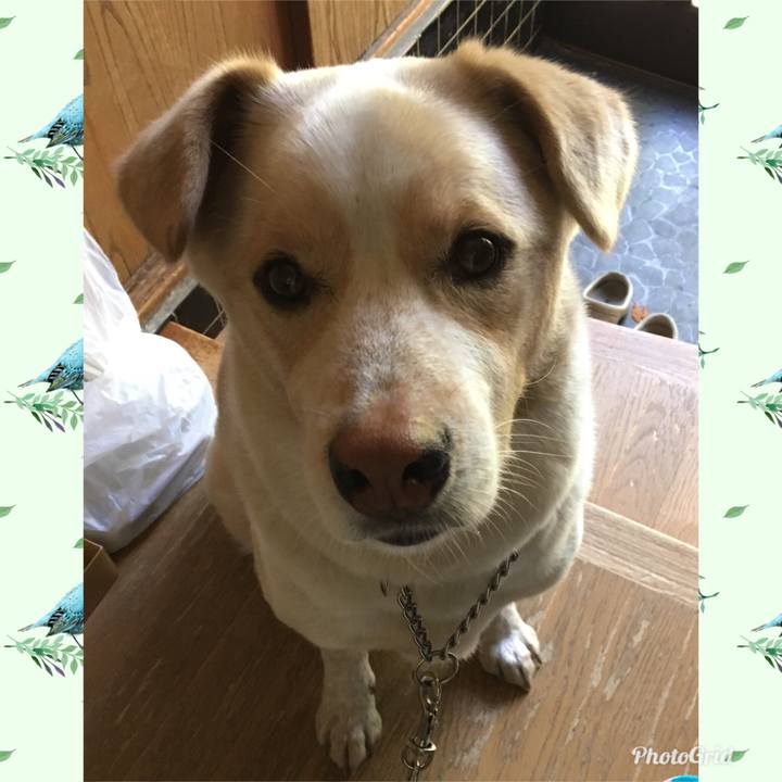 10e22b5f c387 4748 80da 95671238b41a 1525911640549