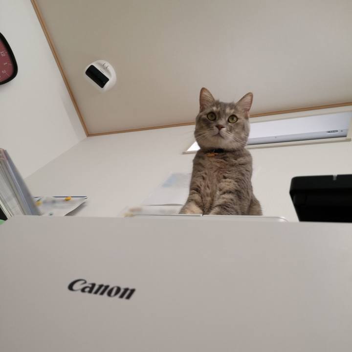 10e25955 97e2 4c51 9557 4d0c9dbba32b 1566893472660